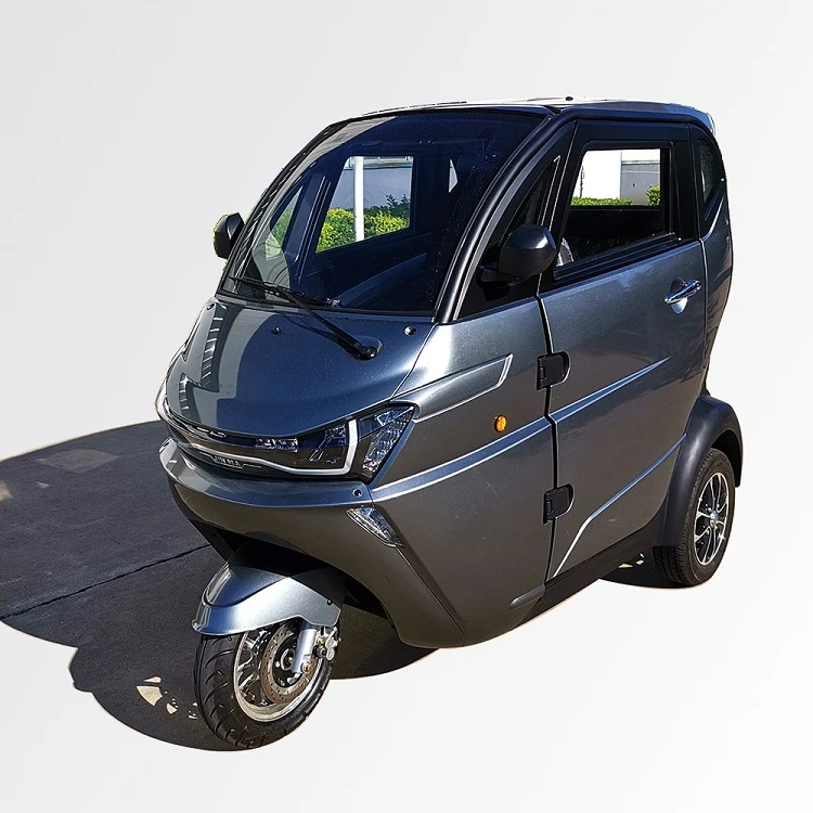 Electric Tricycle Passengers