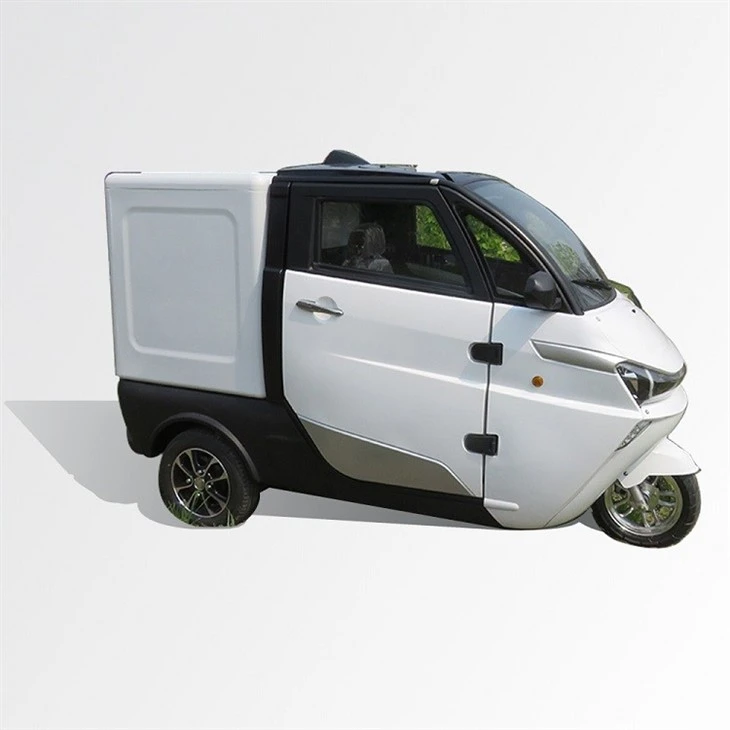 Lithium Battery Adult Three Wheel Cargo Electric Tricycle