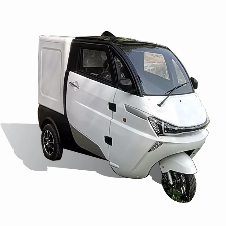 Lithium Battery Adult Three Wheel Cargo Electric Tricycle