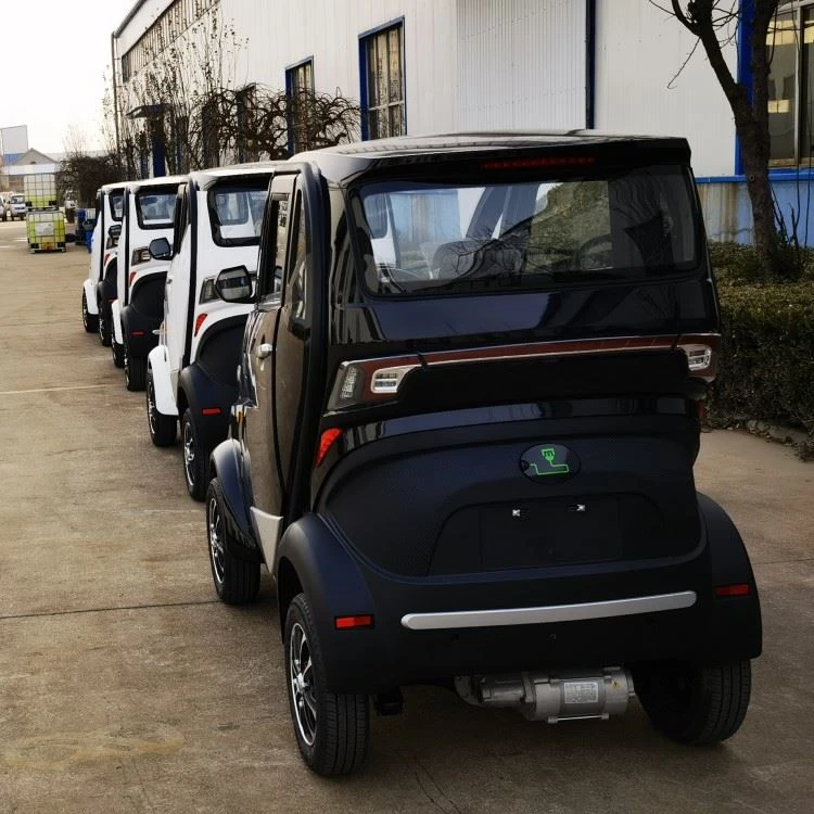 Mini Lithium Battery Electric Vehicle 3kw
