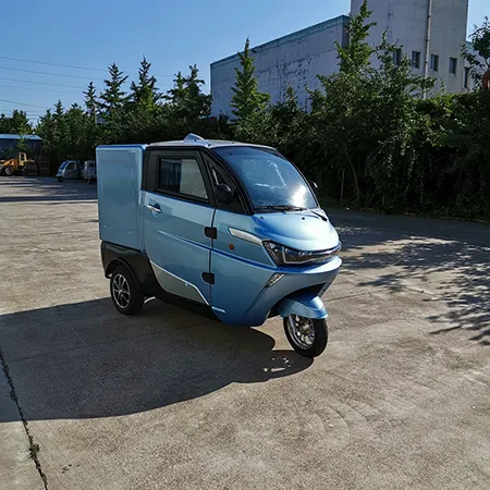 Motorcycle Cargo Car For Adults Rickshaw Family Vehicle Fully Enclosed Closed Van Motorcycle Cargo Car For Adults Rickshaw Family Vehicle Fully Enclosed Closed Van