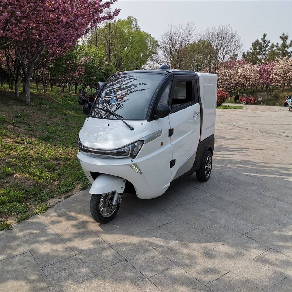 Elektrický mini pojízdný nákladní vůz Runhorse EEC L5e s vanovou skříní