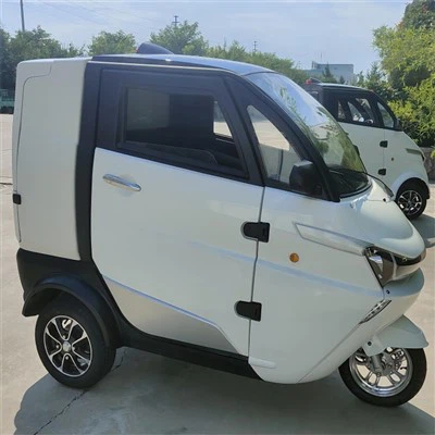 Nízká cena Tříkolka Auto Electrico Nový EV s nákladním boxem pro logistiku