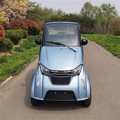 Nízkorychlostní elektrický vůz Mini Taxi Auto